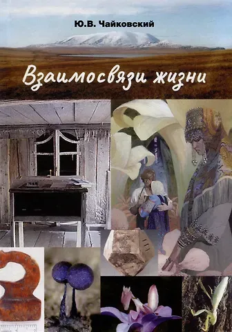 Юрий Викторович Чайковский Взаимосвязи жизни. Миниэнциклопедия дополняет. Том 2. Р–Я и добавочные сведения