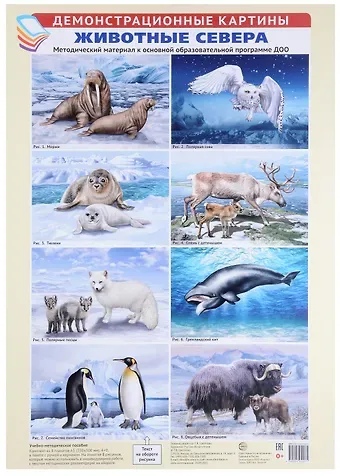 Демонстрационные картины «Животные Севера» (8 картин+этикетка с текстом)