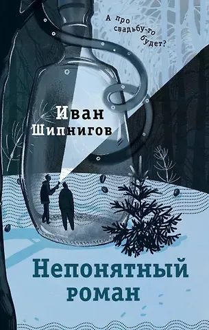 Иван Шипнигов Непонятный роман