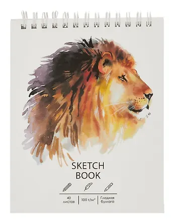 Скетчбук А6+ 125*160 40л 