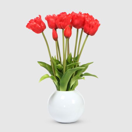 Тюльпаны Конэко-О 10152_Х2_10161 в белом кашпо 45 см