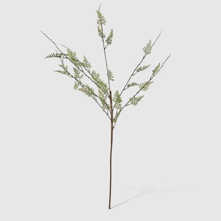 Веточка Конэко-О 43613