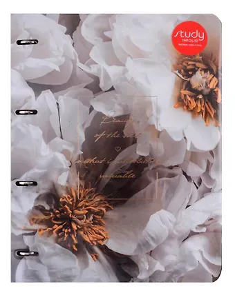 Тетрадь на кольцах в клетку InFolio, 