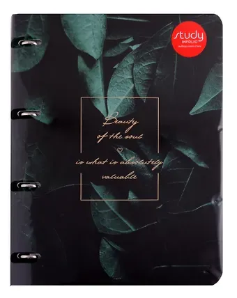 Тетрадь на кольцах в клетку InFolio, 