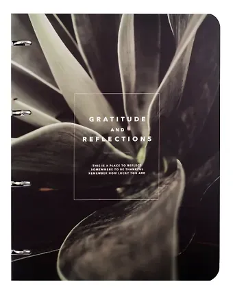 Тетрадь на кольцах в клетку Be Smart, 