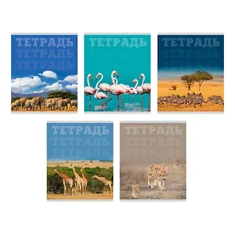 Тетрадь в клетку Listoff, 