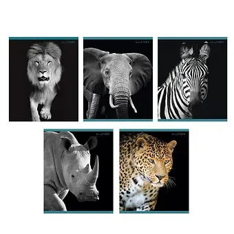 Тетрадь в клетку Listoff, 