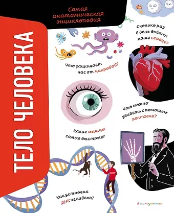 Анна Романо Тело человека. Самая анатомическая энциклопедия