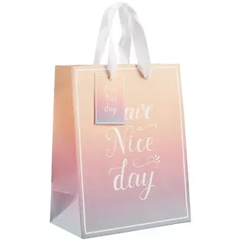 Пакет А5 23*18*10 Have A Nice Day нейтр., бум.мат.ламинат