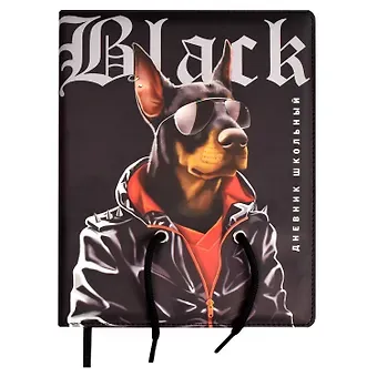 Дневник школьный Феникс+, 