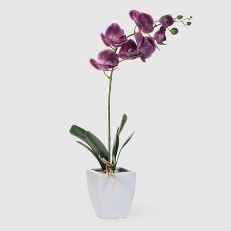 Орхидея Конэко-О 572_10159_185 в белом кашпо 60 см
