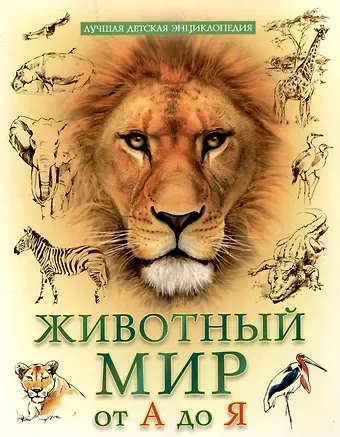 Людмила Владимировна Соколова Животный мр от  А до Я лучшая детская энциклопедия