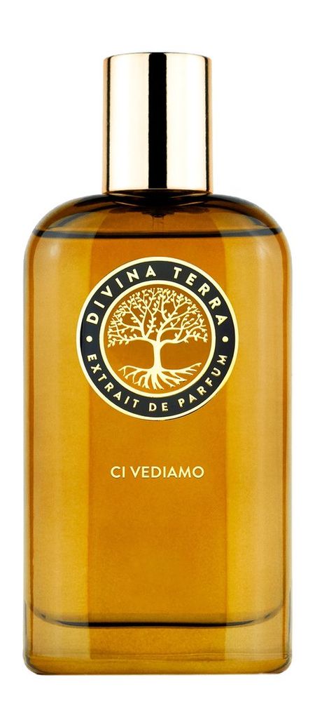DiVina Terra Ci Vediamo Extrait de Parfum современная африканская живопись на холсте портрет женщины