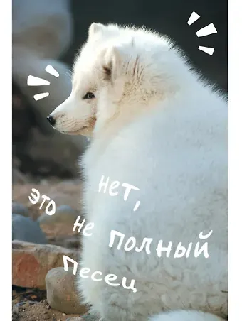 Книга для записей А5 80 листов в клетку, 