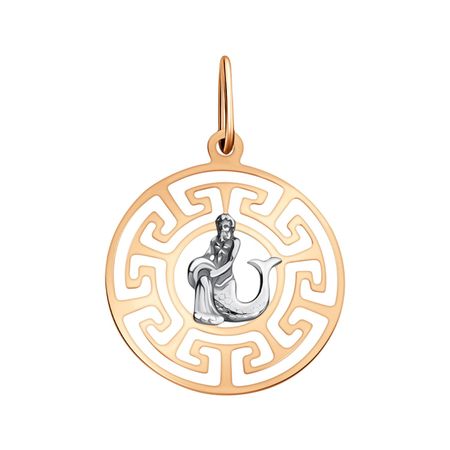 Золотая подвеска со знаком зодиака Водолей татьяна юрьевна борщ водолей гороскоп на 2026 год