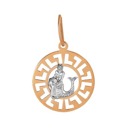 Золотая подвеска со знаком зодиака Водолей татьяна юрьевна борщ водолей гороскоп на 2026 год