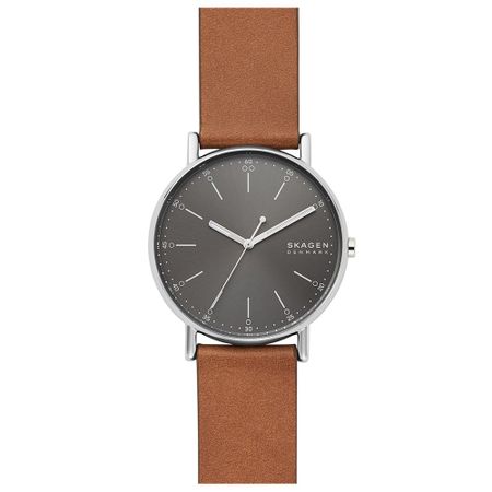 Мужские часы SKAGEN Signatur SKW6578