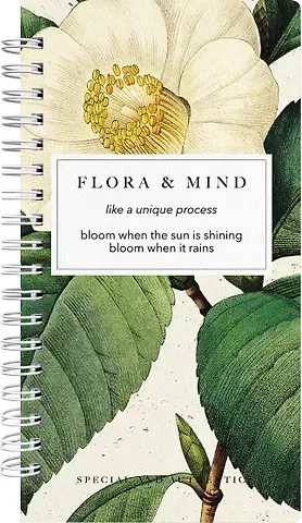 Блокнот 94*174 100л кл. 