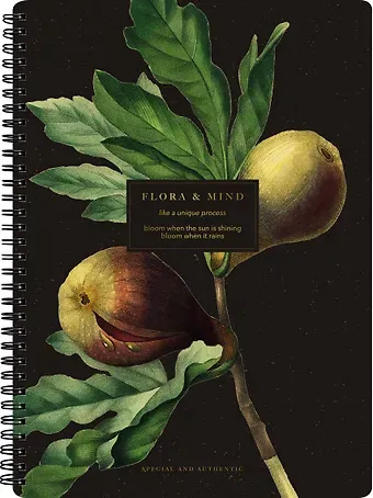 Тетрадь в клетку Be Smart, 