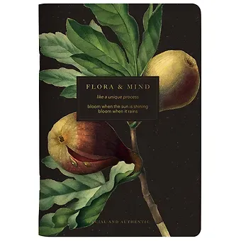 Тетрадь в клетку Be Smart, 