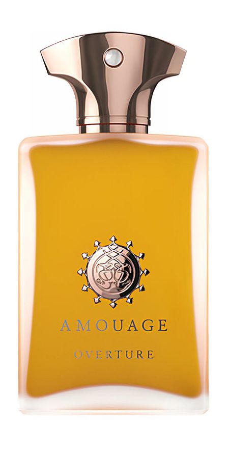Amouage Overture Man Eau de Parfum колбаса сыровяленая solemici strolghino di culatello riserva строльгино мускатный орех и кардамон без глютена полусухая 110 г