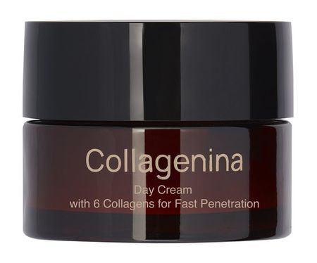 Collagenina 6 Collagens Day Cream Grade 1