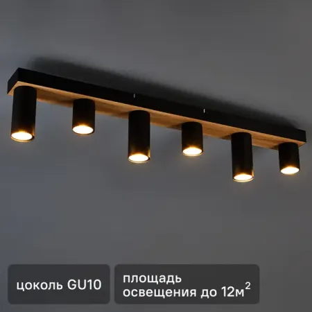 Светильник потолочный Moderni Pine 6573/6C 6 ламп 12 м² цвет черный