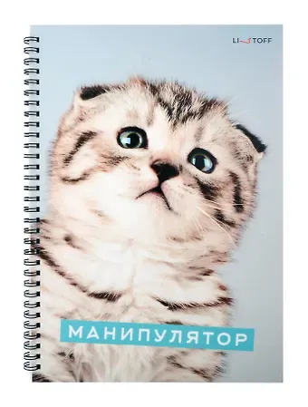 Тетрадь в клетку Listoff, 