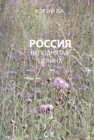 Владимир Анатольевич Корзун Россия - неподнятая целина