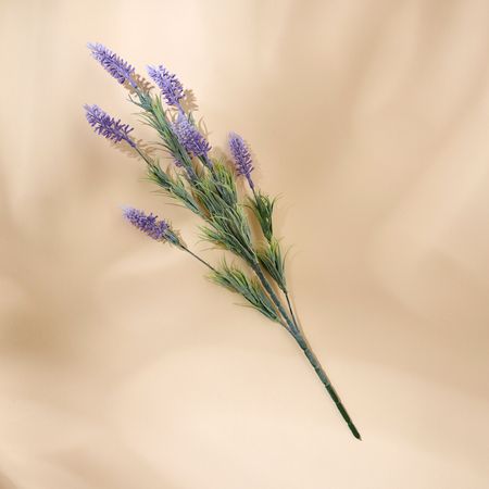 Ветвь Лаванда/Lavander