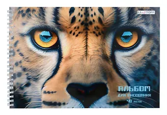 Альбом для рисования Listoff, 