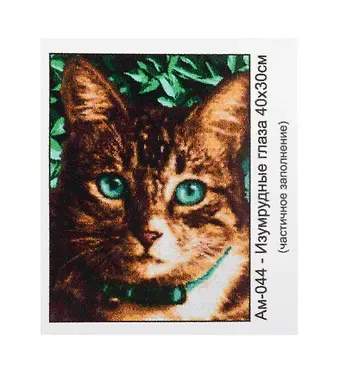 Алмазная мозаика с квадратными стразами (частичное заполнение) 