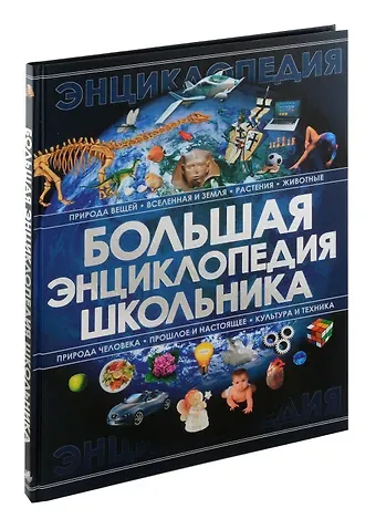 Анна Артуровна Спектор Большая энциклопедия школьника