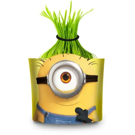 Семена Набор Миньоны «Дой-Пак» любовь борисовна богданова живая азбука развивающая раскраска мягк богданова л попурри