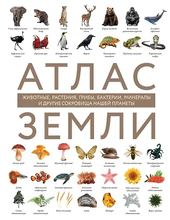 Регина Валерьевна Михайлова Атлас Земли. Животные, растения, грибы, бактерии, минералы и другие сокровища нашей планеты