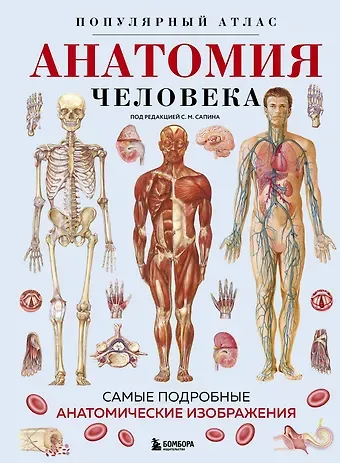 Анатомия человека. Популярный атлас. Самые подробные анатомические изображения