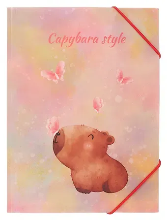 Папка на резинке Yoi, 