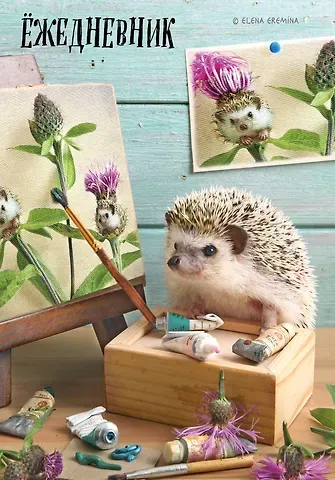 Ежедневник недат. А5 72л 