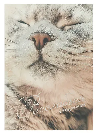 Ежедневник недатированный А5 128 листов, 