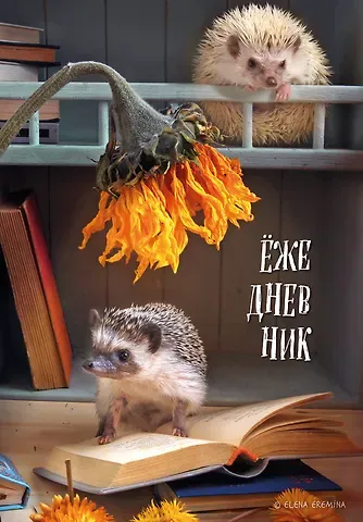 Ежедневник недат. А5 72л 