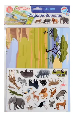 Игра магнитная 