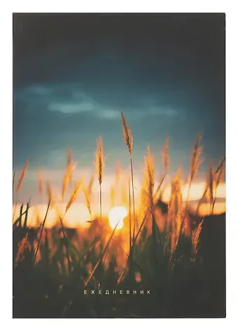 Ежедневник недатированный А5 128 листов, 