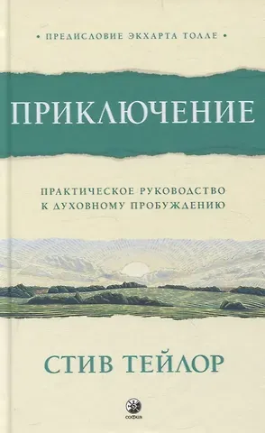 Стив Тейлор Приключение: Практическое руководство к духовному пробуждению