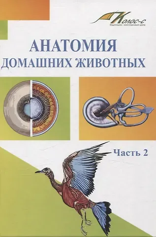 Наталья Анатольевна Слесаренко, Ирина Владимировна Хрусталева, Хамидулла Балтуханович Баймишев Анатомия домашних животных. Часть 2