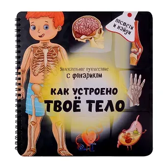 Оксана Иванова Как устроено твое тело. Увлекательное путешествие с фонариком