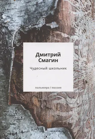 Дмитрий Георгиевич Смагин Чудесный школьник: сборник стихотворений
