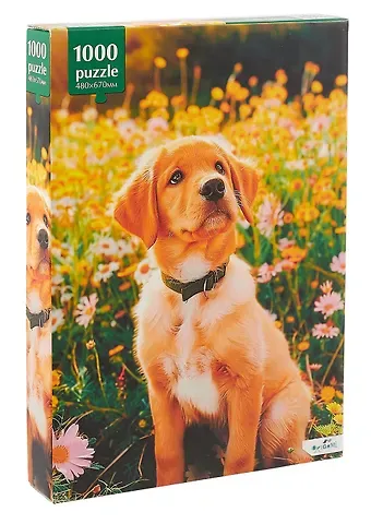 Пазл 1000 элементов 