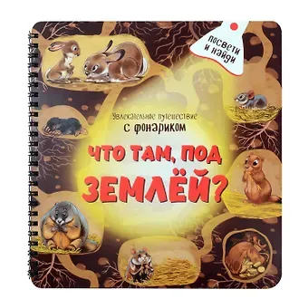 Оксана Иванова Что там, под Землёй? Увлекательное путешествие с фонариком