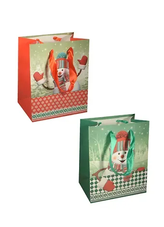 Пакет подарочный бумажный 