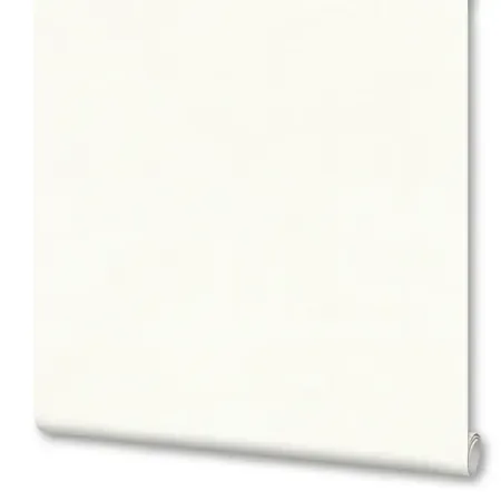 Обои флизелиновые Артекс Бенефис белые 1.06 м 11246-01